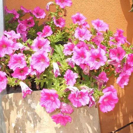 Maria Giovanna Alojamento de Acomodação e Pequeno-almoço