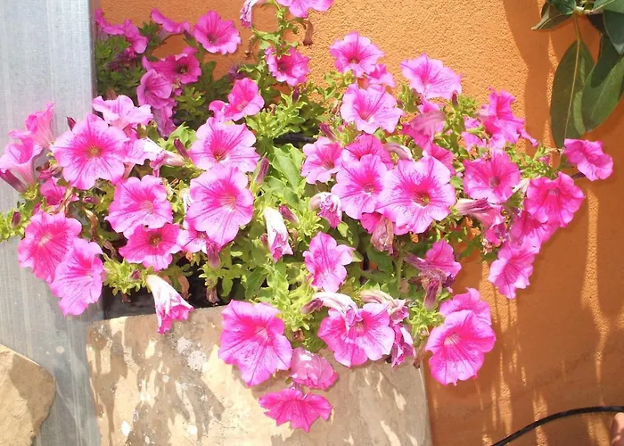 Maria Giovanna Bed & Breakfast