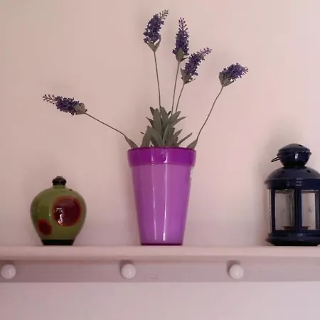 玛利亚乔万娜住宿加早餐旅馆 贾迪尼-纳克索斯